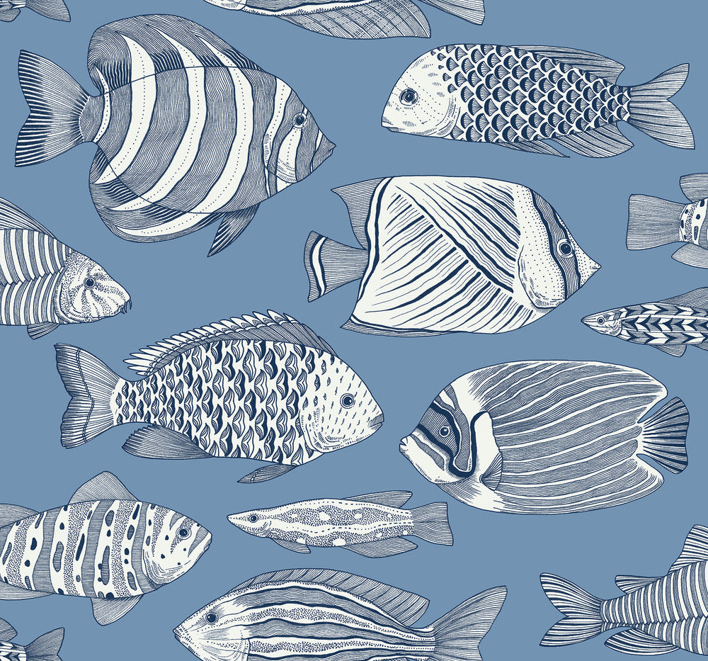 Wailea Sky Blue Tropical School Wallpaper by A-Street Prints Newport Covers about 60.8 square feet 27-in by 27-ft long roll Unpasted 25.2 - Fabric Carolina -