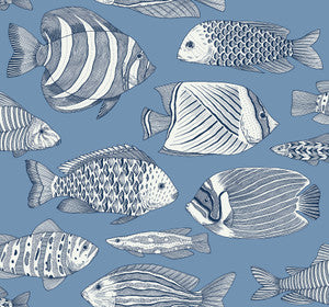 Wailea Sky Blue Tropical School Wallpaper by A-Street Prints