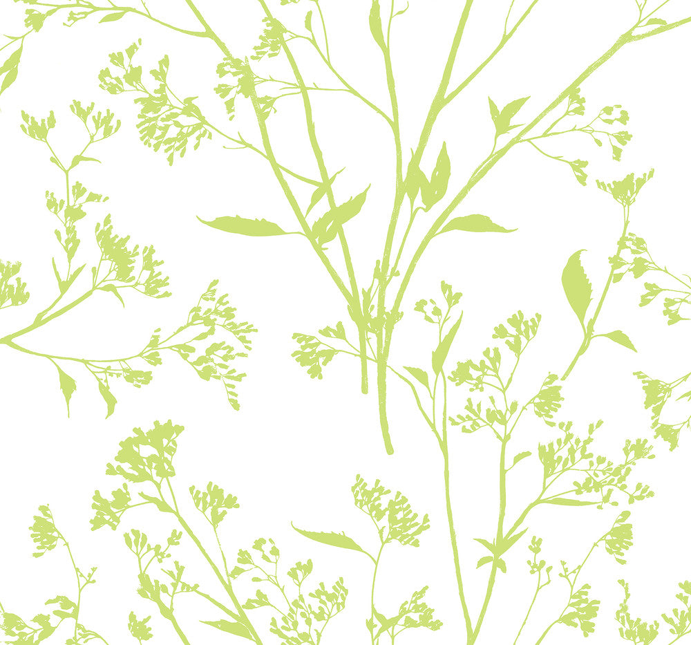 Southport Chartreuse Delicate Branches Wallpaper by A-Street Prints Newport Covers about 60.8 square feet 27-in by 27-ft long roll Unpasted 25.2 - Fabric Carolina -