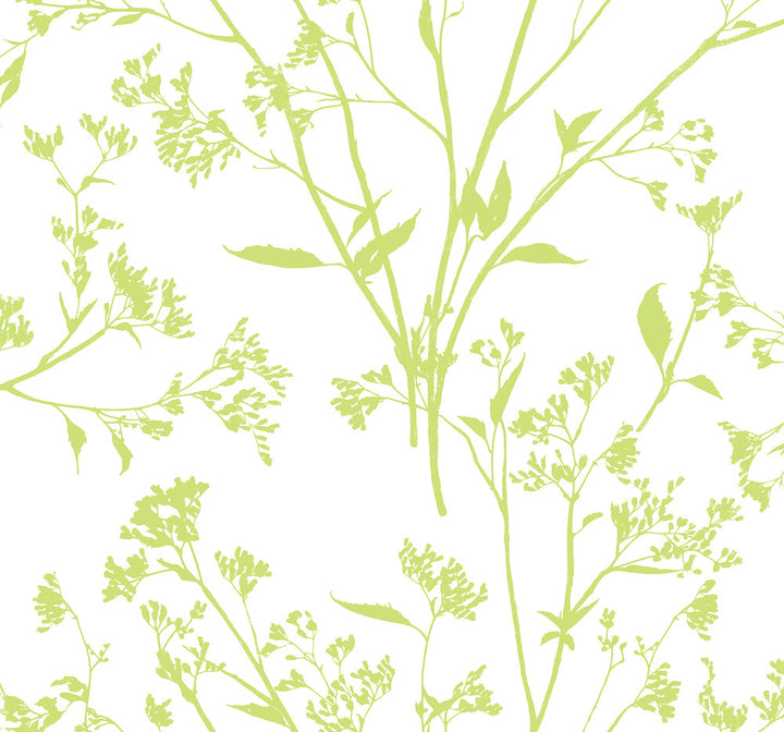 Southport Chartreuse Delicate Branches Wallpaper by A-Street Prints Newport Covers about 60.8 square feet 27-in by 27-ft long roll Unpasted 25.2 - Fabric Carolina -