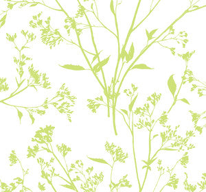 Southport Chartreuse Delicate Branches Wallpaper by A-Street Prints