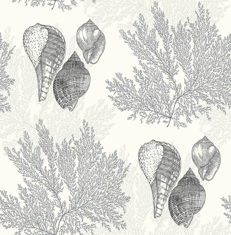 Nauset Black Seashell Shores Wallpaper by A-Street Prints Newport Covers about 56.4 square feet 20.5-in by 33-ft long roll Unpasted 20.9 - Fabric Carolina -