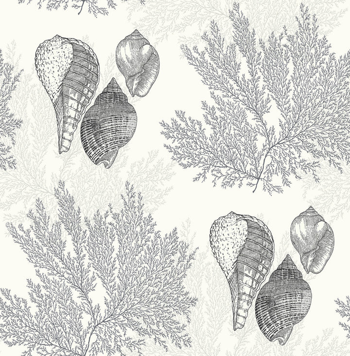Nauset Black Seashell Shores Wallpaper by A-Street Prints Newport Covers about 56.4 square feet 20.5-in by 33-ft long roll Unpasted 20.9 - Fabric Carolina -