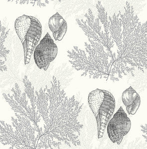 Nauset Black Seashell Shores Wallpaper by A-Street Prints