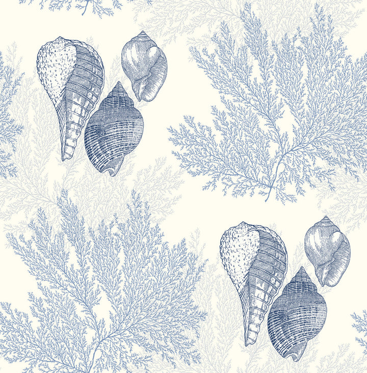Nauset Blue Seashell Shores Wallpaper by A-Street Prints Newport Covers about 56.4 square feet 20.5-in by 33-ft long roll Unpasted 20.9 - Fabric Carolina -