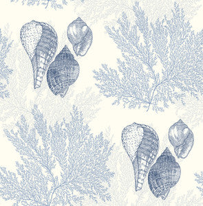 Nauset Blue Seashell Shores Wallpaper by A-Street Prints