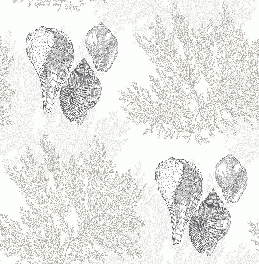 Nauset Cream Seashell Shores Wallpaper by A-Street Prints Newport Covers about 56.4 square feet 20.5-in by 33-ft long roll Unpasted 20.9 - Fabric Carolina -