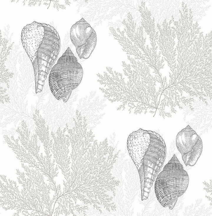 Nauset Cream Seashell Shores Wallpaper by A-Street Prints Newport Covers about 56.4 square feet 20.5-in by 33-ft long roll Unpasted 20.9 - Fabric Carolina -