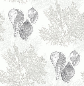 Nauset Cream Seashell Shores Wallpaper by A-Street Prints