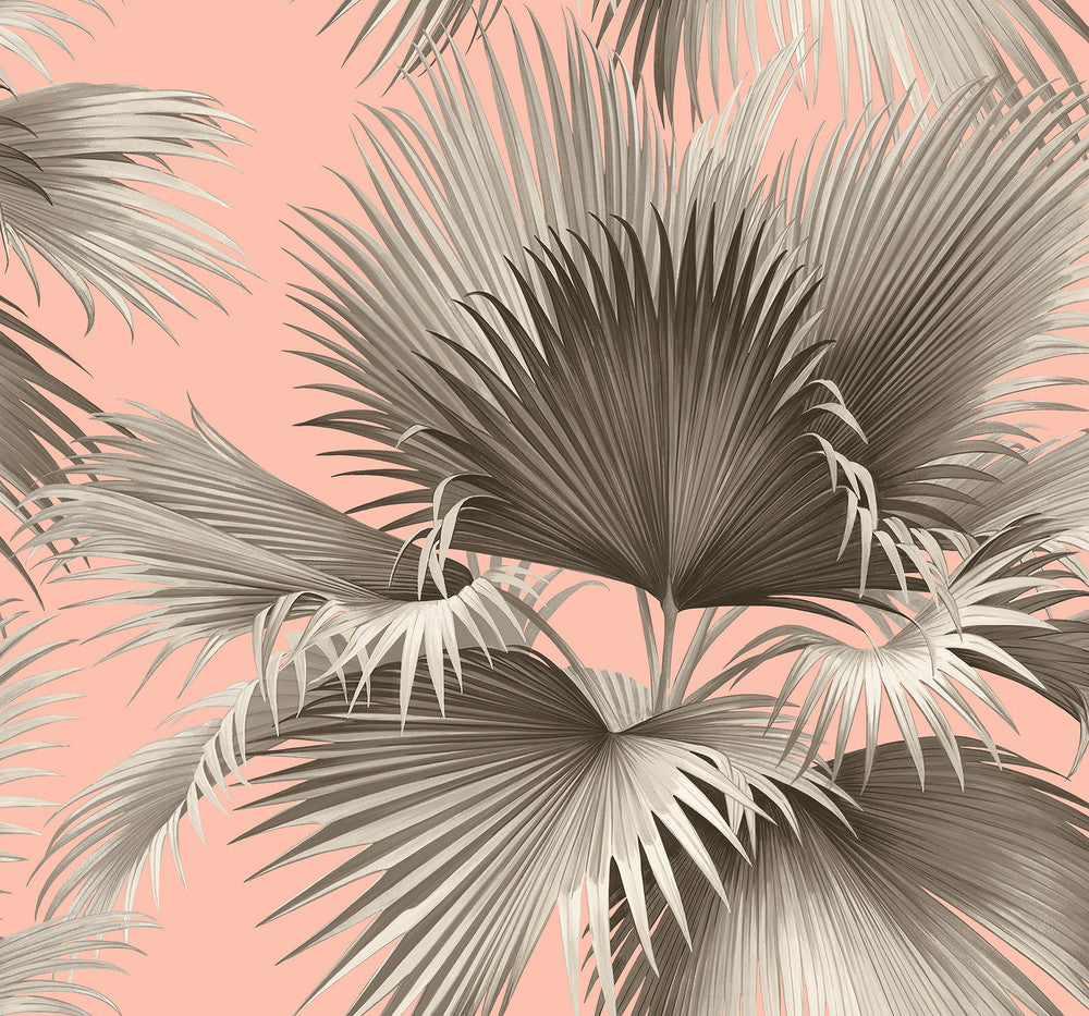 Summer Palm Blush Tropical Wallpaper by A-Street Prints Newport Covers about 60.8 square feet 27-in by 27-ft long roll Unpasted 25.2 - Fabric Carolina -