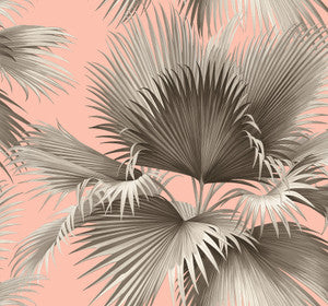 Summer Palm Blush Tropical Wallpaper by A-Street Prints