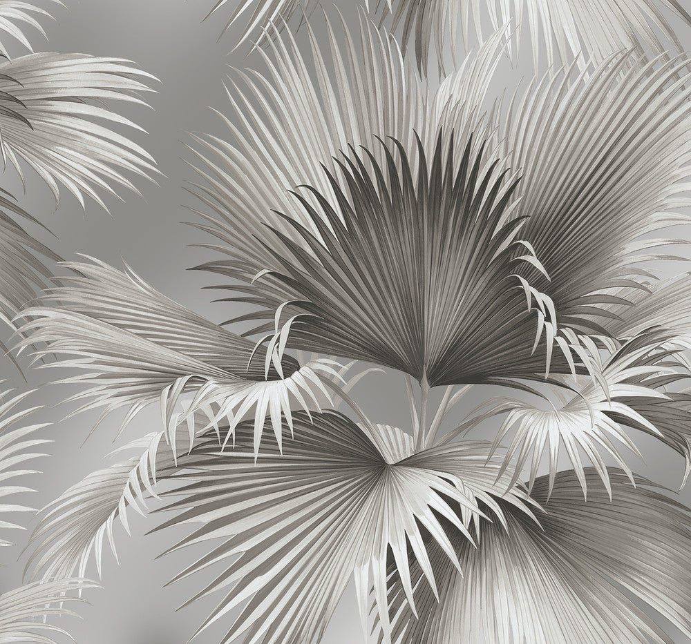 Summer Palm Platinum Tropical Wallpaper by A-Street Prints Newport Covers about 60.8 square feet 27-in by 27-ft long roll Unpasted 25.2 - Fabric Carolina -
