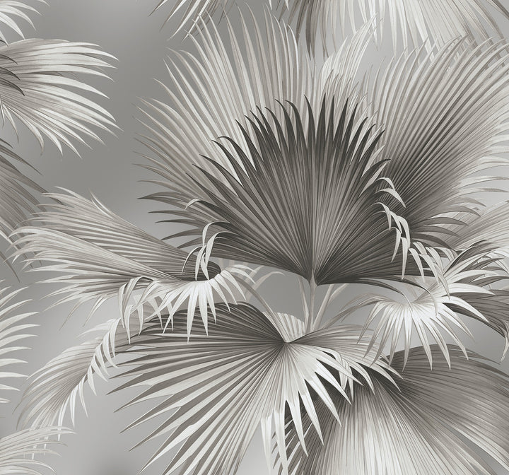 Summer Palm Platinum Tropical Wallpaper by A-Street Prints Newport Covers about 60.8 square feet 27-in by 27-ft long roll Unpasted 25.2 - Fabric Carolina -