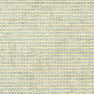 Sybil Mist by Kravet Design Fabric