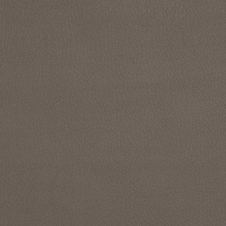 2927 Moonstone by Charlotte Designer Fabric Ring Book Page #4A 100% Woven Polyester Asia Exceeds 180,000 Wyzenbeek Rubs (Heavy Duty) No Repeat 54 Inches - Swanky Fabrics -