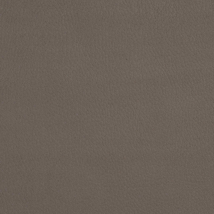2927 Moonstone by Charlotte Fabric Ring Book Page #4A 100% Woven Polyester Asia Exceeds 190,000 Wyzenbeek Rubs (Heavy Duty) </p><p>Repeat: No Repeat 54 Inches - Fabric Carolina -