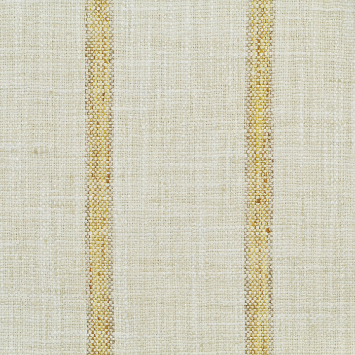 Run Around Sunshine 150 by P Kaufmann Fabrics Fabric