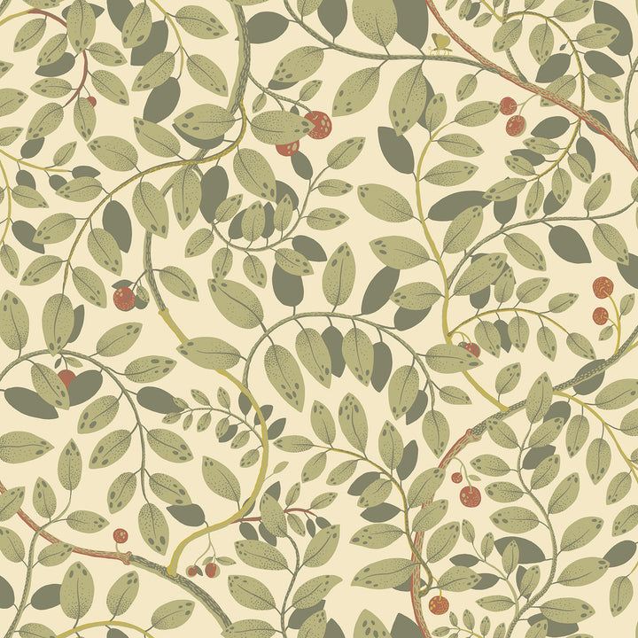 Kirke Green Leafy Vines Wallpaper by A-Street Prints Lina Covers about 57.5 square feet 20.9-in by 33-ft long roll Unpasted 20.9 - Fabric Carolina -