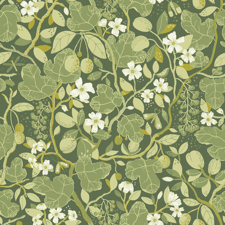 Ewald Green Garden Vines Wallpaper by A-Street Prints Lina Covers about 57.5 square feet 20.9-in by 33-ft long roll Unpasted 20.9 - Fabric Carolina -