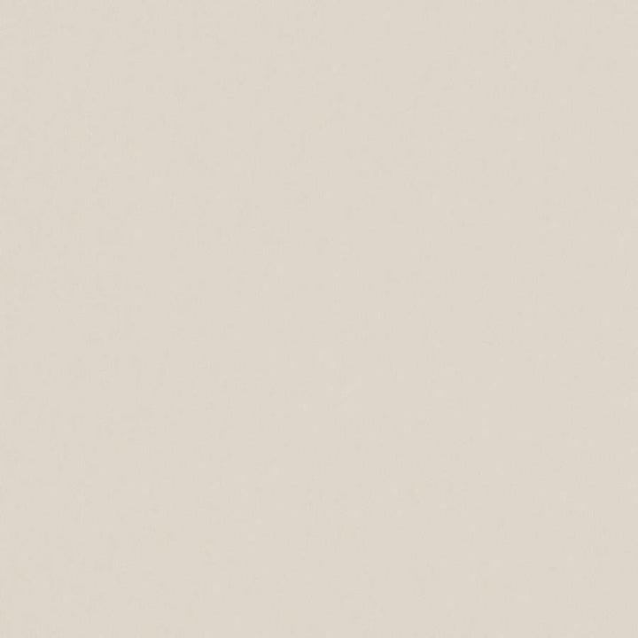 Zaitun # 502 Dune by Maxwell Fabric Pure & Simple Xvi 100% ORGANIC COTTON INDIA 55" - Fabric Carolina -