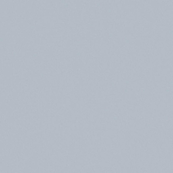 Zaitun # 508 Fog by Maxwell Fabric Pure & Simple Xvi 100% ORGANIC COTTON INDIA 55" - Fabric Carolina -