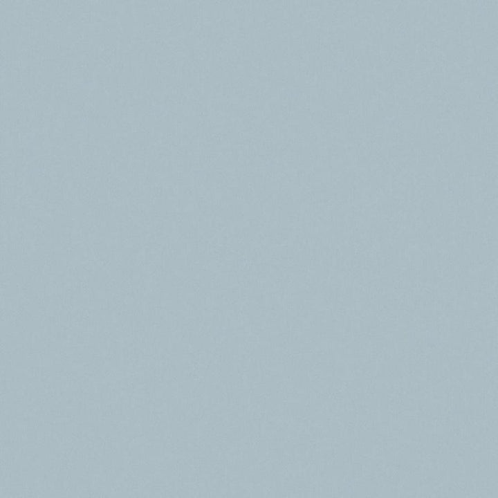 Zaitun # 509 Horizon by Maxwell Fabric Pure & Simple Xvi 100% ORGANIC COTTON INDIA 55" - Fabric Carolina -