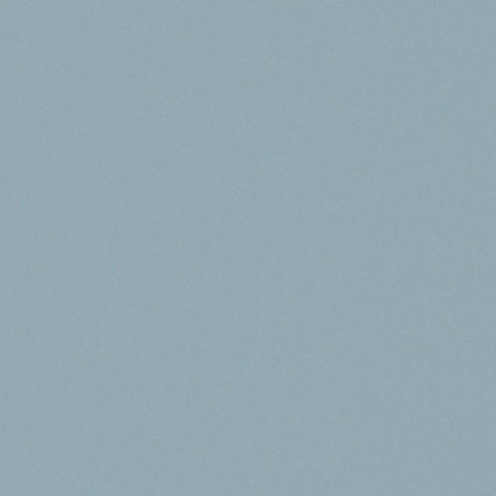 Zaitun # 510 Sky by Maxwell Fabric Pure & Simple Xvi 100% ORGANIC COTTON INDIA 55" - Fabric Carolina -