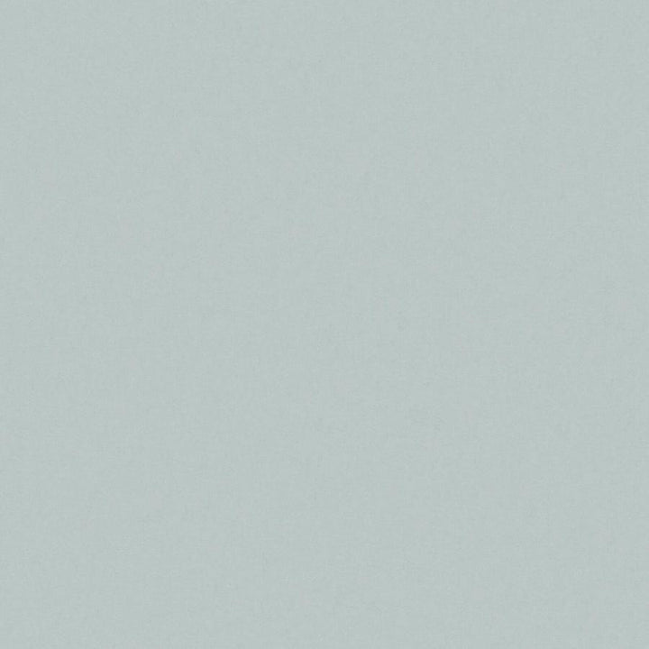 Zaitun # 512 Surf by Maxwell Fabric Pure & Simple Xvi 100% ORGANIC COTTON INDIA 55" - Fabric Carolina -