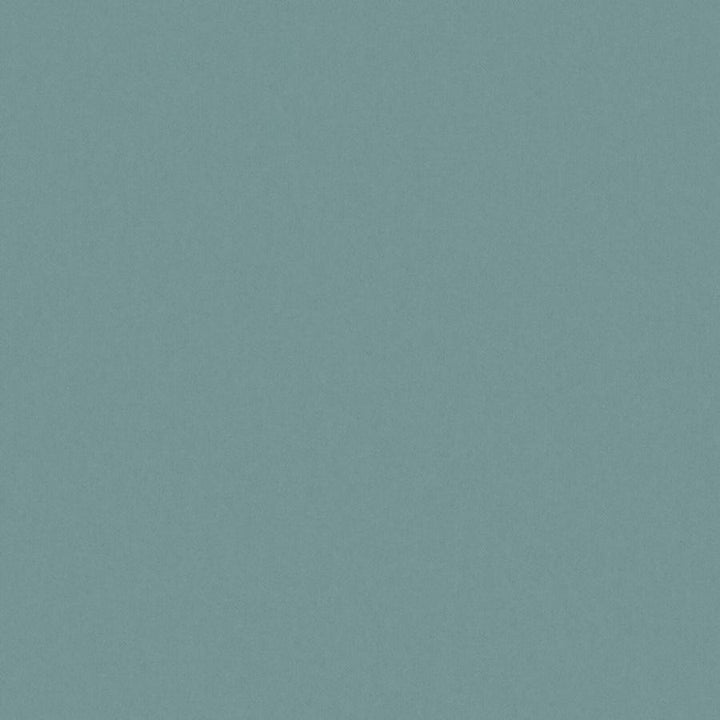 Zaitun # 513 Spa by Maxwell Fabric Pure & Simple Xvi 100% ORGANIC COTTON INDIA 55" - Fabric Carolina -
