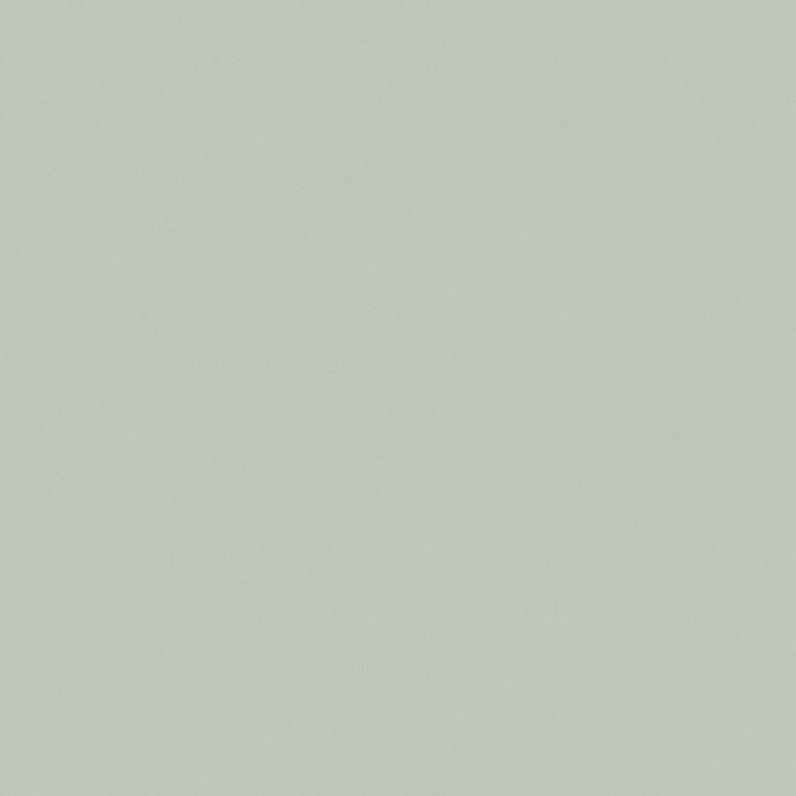 Zaitun # 515 Spearmint by Maxwell Fabric Pure & Simple Xvi 100% ORGANIC COTTON INDIA 55" - Fabric Carolina -