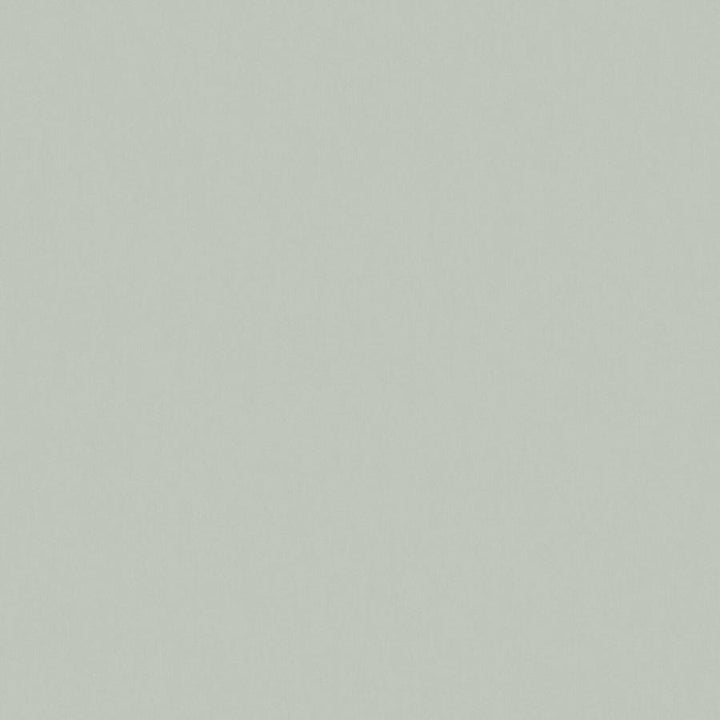 Zaitun # 515 Spearmint by Maxwell Fabric Pure & Simple Xvi 100% ORGANIC COTTON INDIA 55" - Fabric Carolina -