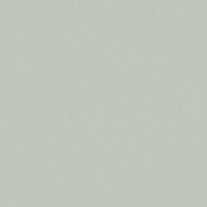 Zaitun # 515 Spearmint by Maxwell Fabric