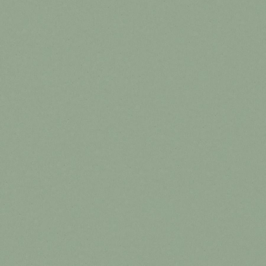 Zaitun # 516 Mineral by Maxwell Fabric Pure & Simple Xvi 100% ORGANIC COTTON INDIA 55" - Fabric Carolina -