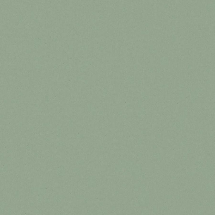 Zaitun # 516 Mineral by Maxwell Fabric Pure & Simple Xvi 100% ORGANIC COTTON INDIA 55" - Fabric Carolina -