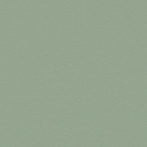 Zaitun # 516 Mineral by Maxwell Fabric