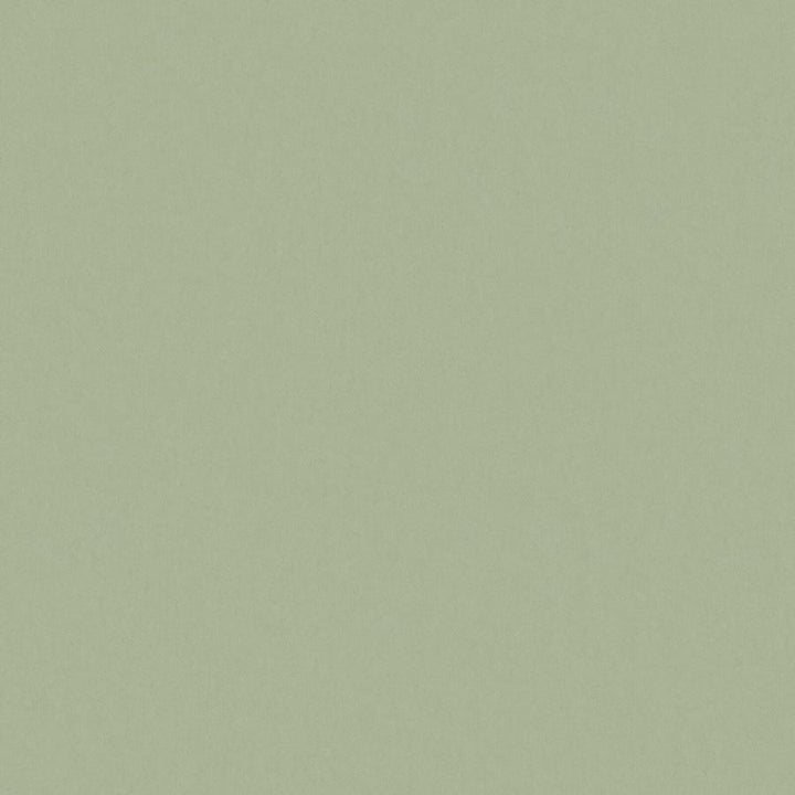 Zaitun # 517 Linden by Maxwell Fabric Pure & Simple Xvi 100% ORGANIC COTTON INDIA 55" - Fabric Carolina -