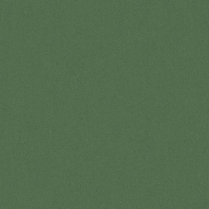 Zaitun # 518 Forest by Maxwell Designer Fabric Pure & Simple Xvi 100% ORGANIC COTTON INDIA 55" - Swanky Fabrics -