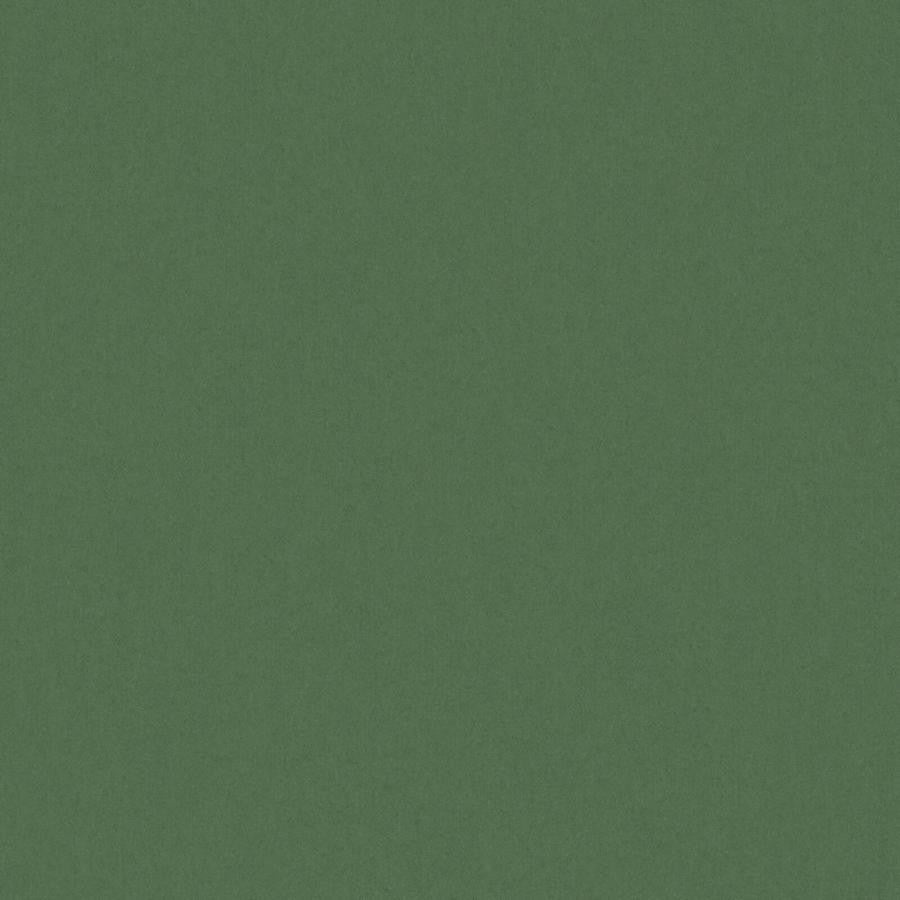Zaitun # 518 Forest by Maxwell Fabric Pure & Simple Xvi 100% ORGANIC COTTON INDIA 55" - Fabric Carolina -