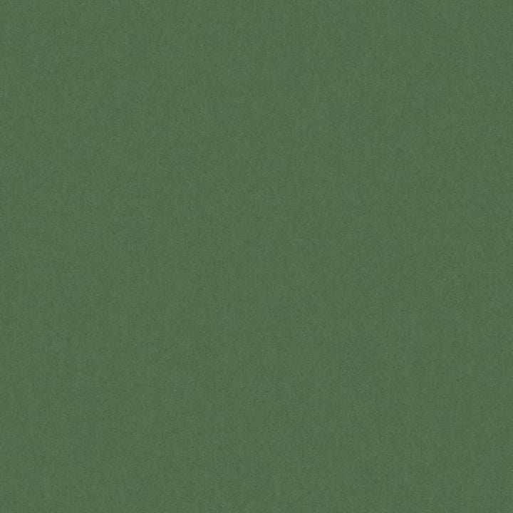Zaitun # 518 Forest by Maxwell Fabric Pure & Simple Xvi 100% ORGANIC COTTON INDIA 55" - Fabric Carolina -