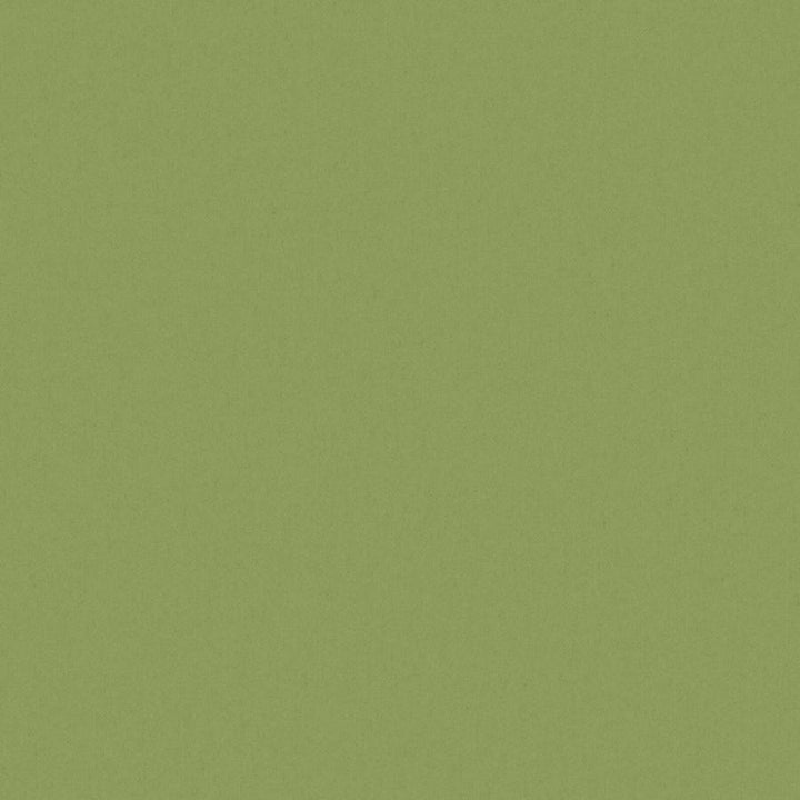 Zaitun # 519 Hedge by Maxwell Fabric Pure & Simple Xvi 100% ORGANIC COTTON INDIA 55" - Fabric Carolina -