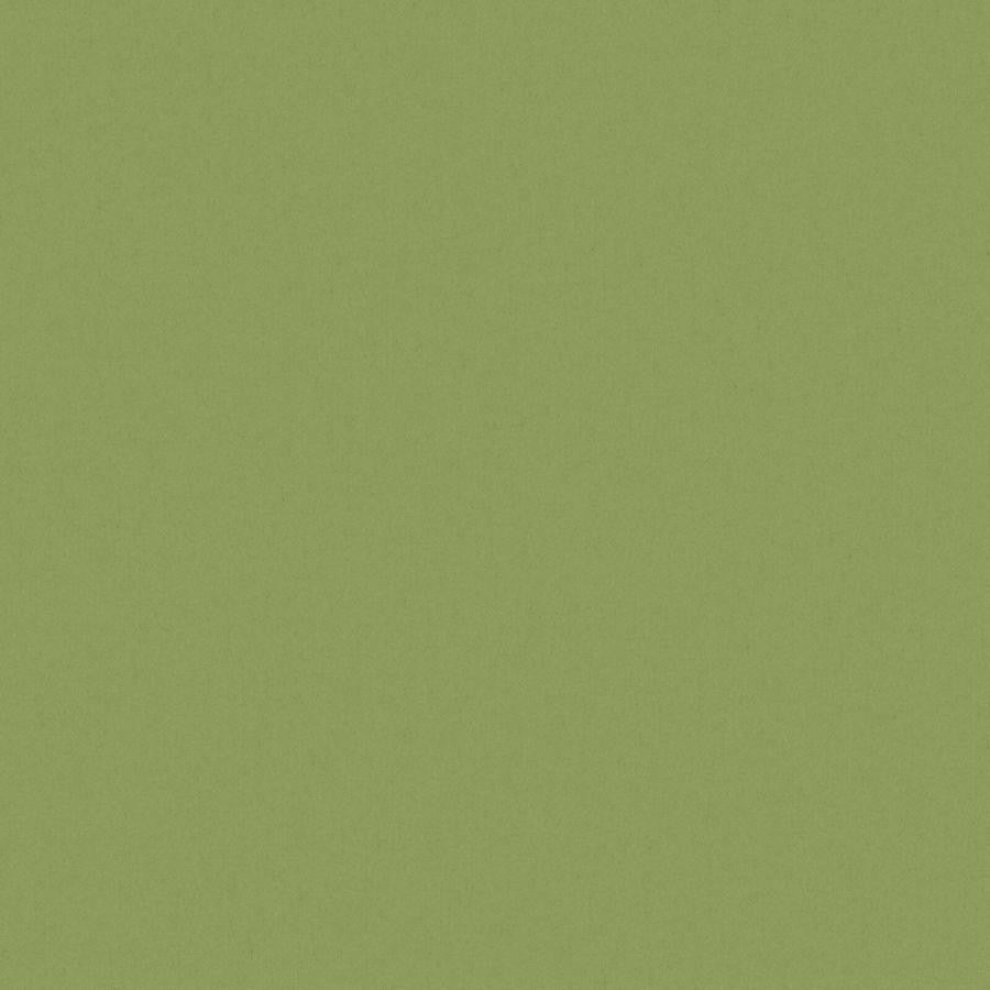 Zaitun # 519 Hedge by Maxwell Designer Fabric Pure & Simple Xvi 100% ORGANIC COTTON INDIA 55" - Swanky Fabrics -