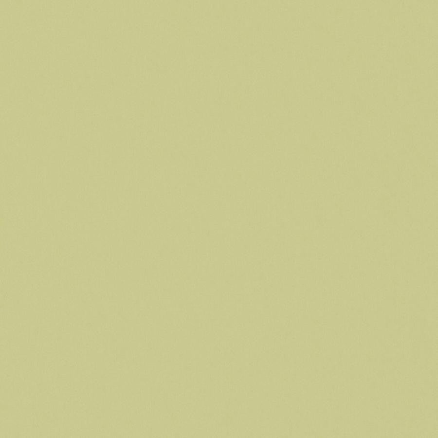 Zaitun # 520 Apple by Maxwell Fabric Pure & Simple Xvi 100% ORGANIC COTTON INDIA 55" - Fabric Carolina -