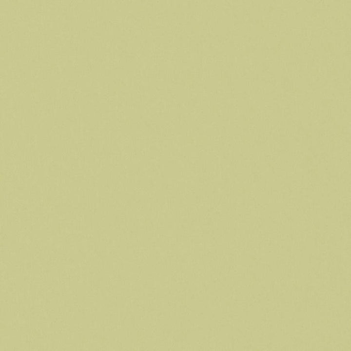 Zaitun # 520 Apple by Maxwell Fabric Pure & Simple Xvi 100% ORGANIC COTTON INDIA 55" - Fabric Carolina -