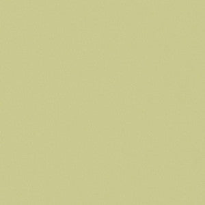 Zaitun # 520 Apple by Maxwell Fabric