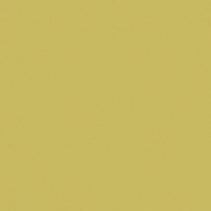 Zaitun # 521 Chartreuse by Maxwell Fabric Pure & Simple Xvi 100% ORGANIC COTTON INDIA 55" - Fabric Carolina -