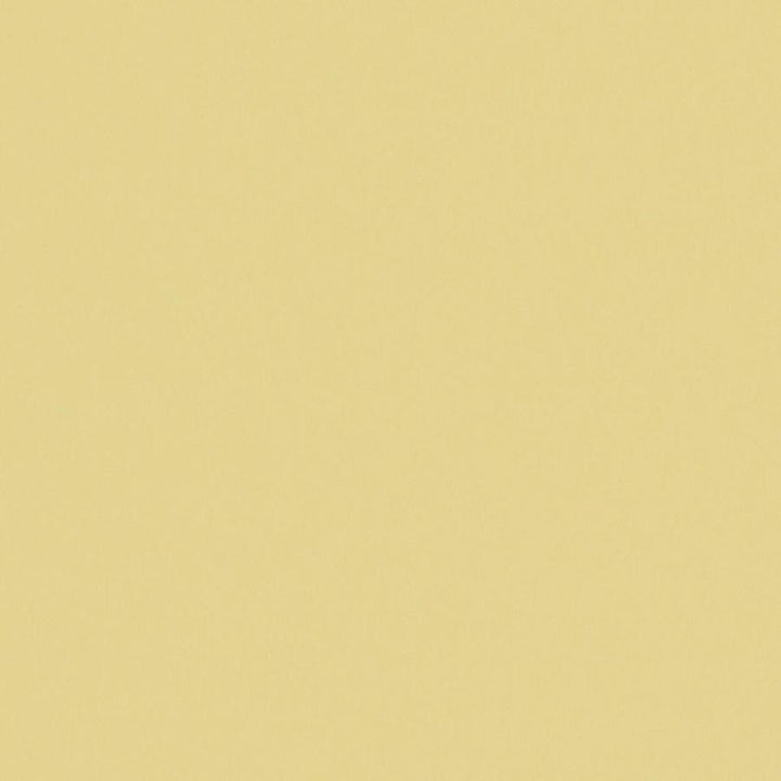 Zaitun # 522 Mimosa by Maxwell Fabric Pure & Simple Xvi 100% ORGANIC COTTON INDIA 55" - Fabric Carolina -