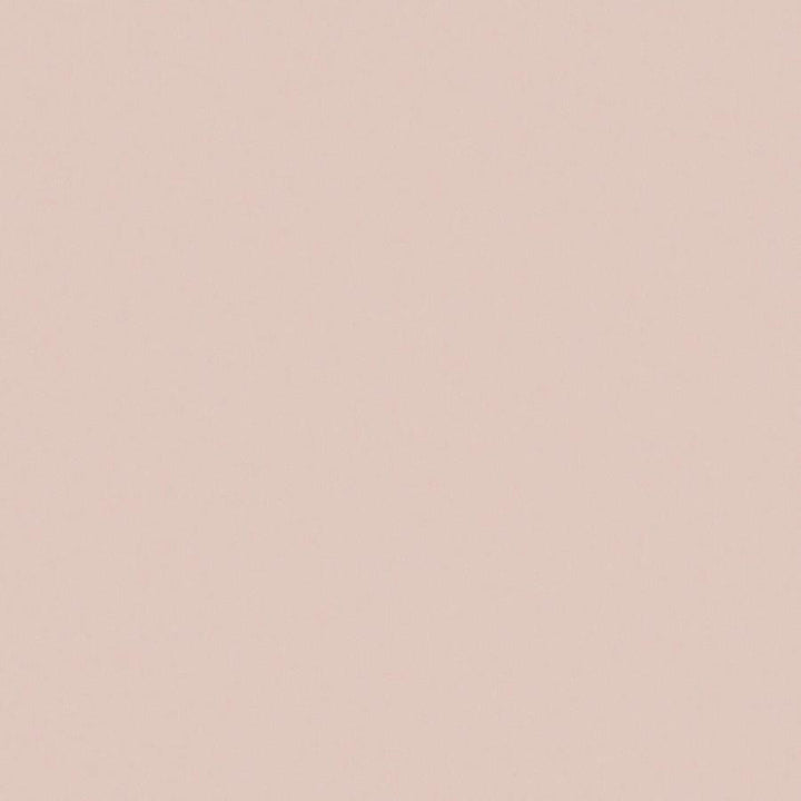 Zaitun # 529 Cameo by Maxwell Fabric Pure & Simple Xvi 100% ORGANIC COTTON INDIA 55" - Fabric Carolina -
