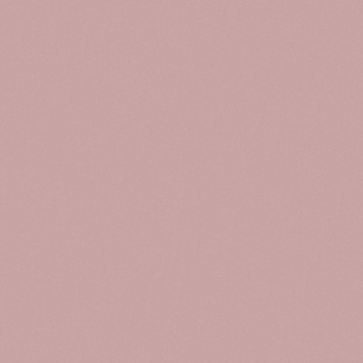 Zaitun # 530 Blossom by Maxwell Fabric Pure & Simple Xvi 100% ORGANIC COTTON INDIA 55" - Fabric Carolina -