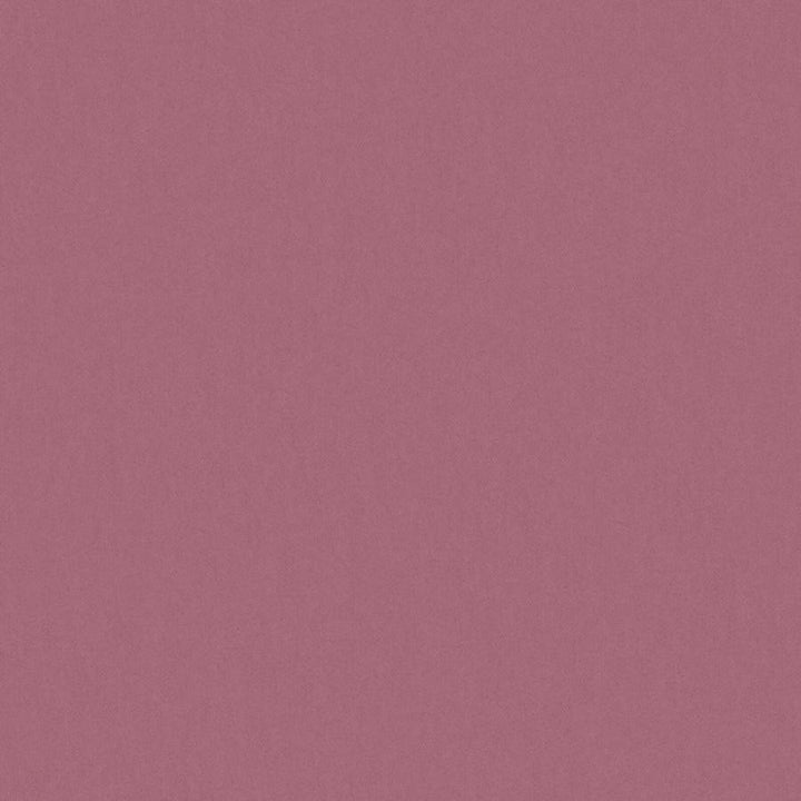 Zaitun # 531 Lotus by Maxwell Fabric Pure & Simple Xvi 100% ORGANIC COTTON INDIA 55" - Fabric Carolina -