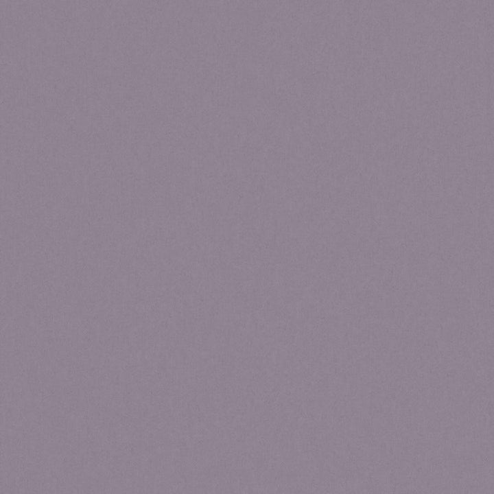 Zaitun # 535 Lavender by Maxwell Fabric Pure & Simple Xvi 100% ORGANIC COTTON INDIA 55" - Fabric Carolina -